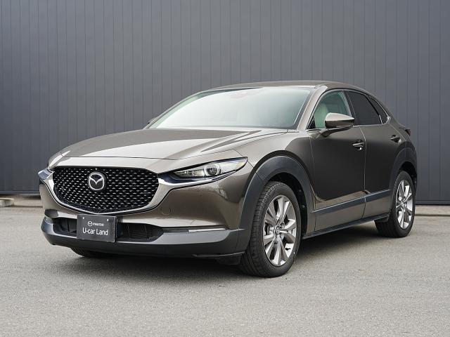 ޥĥ ãءݣ ӡ̥ѥåﳲڸƥࡡץƥ֥롼ȥ