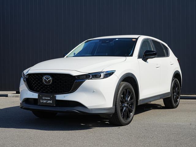 ޥĥ ãءݣ أġ֥åȡ󥨥ǥ󡡾ﳲڸƥࡡץƥ֥롼ȥ