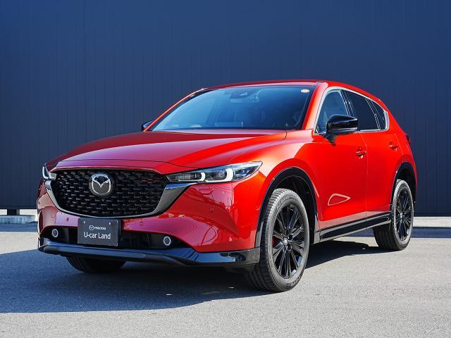 륷ǳǤ⤤̥ϤΥޥѡѥӣգ 1