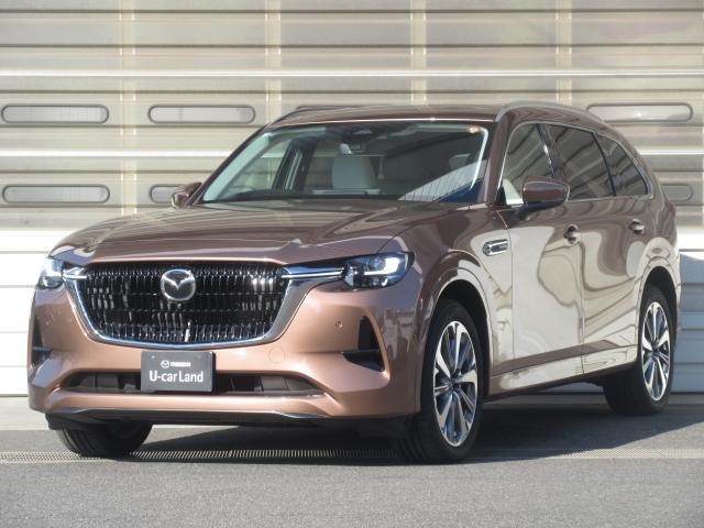 ޥĥ ãءݣ أġݥϥ֥åɡץߥ󡡾ﳲڸƥࡡץƥ֥롼ȥ