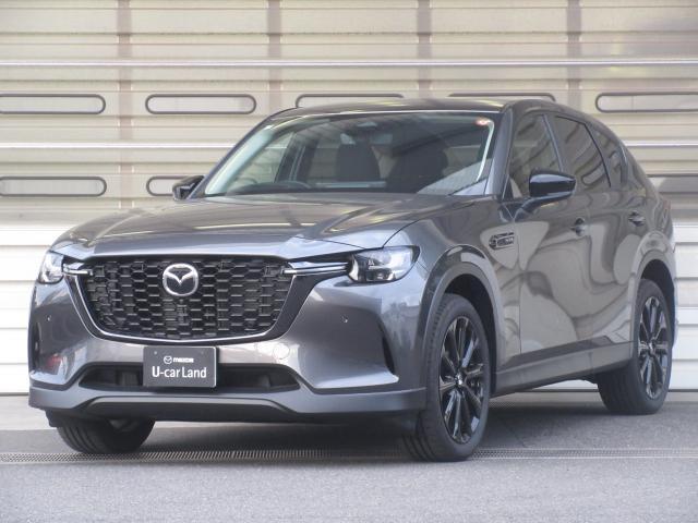 ޥĥ ãءݣ أġӣСﳲڸƥࡡץƥ֥롼ȥ