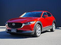 ޥĥãءݣӡץƥ֡ġ󥰥쥯󡡾ﳲڸƥ