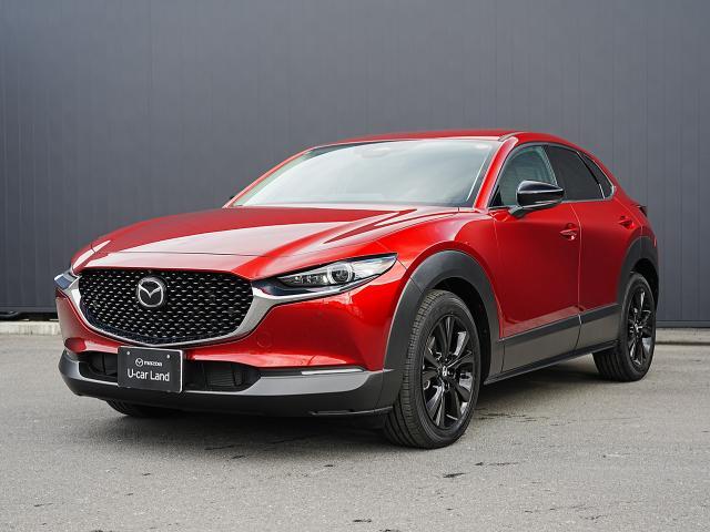 ޥĥ ãءݣ ӡ֥å쥯󡡾ﳲڸƥࡡץƥ֥롼ȥ