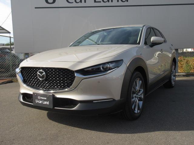 ޥĥ ãءݣ أġġ󥰡ﳲڸƥࡡץƥ֥롼ȥ