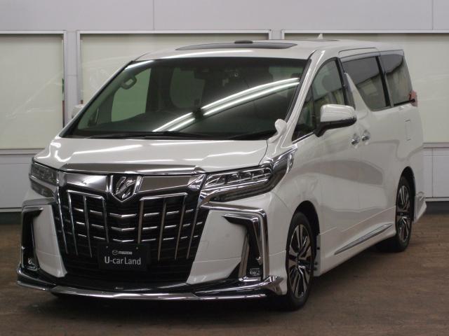 ȥ西 ե ӡåѥåﳲڸƥࡡȥޥåϥӡ