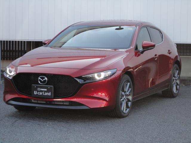 ͣڣģեȥХå ӡġ󥰡ﳲڸƥࡡץƥ֥롼ȥ 0201408A20251128R003 1