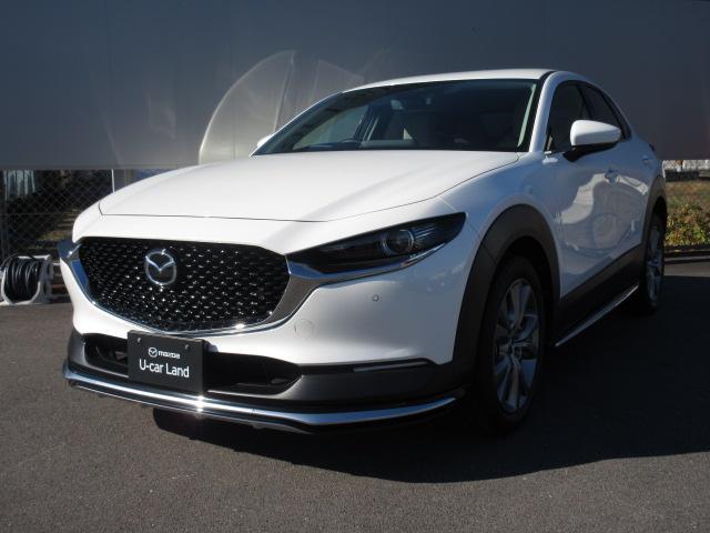 bw|RO(}c_) wc@vANeBu@c[OZNV@Փ˔QyVXe@A_veBuN[YRg[@I[g}`bNnCr[@dV[g@V[gq[^[@obNJ@I[gCg@kdcwbhv@dsb@a@dAQ[g Îԉ摜