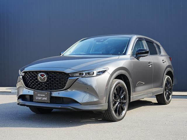 륷ǳǤ⤤̥ϤΥޥѡѥӣգ 1