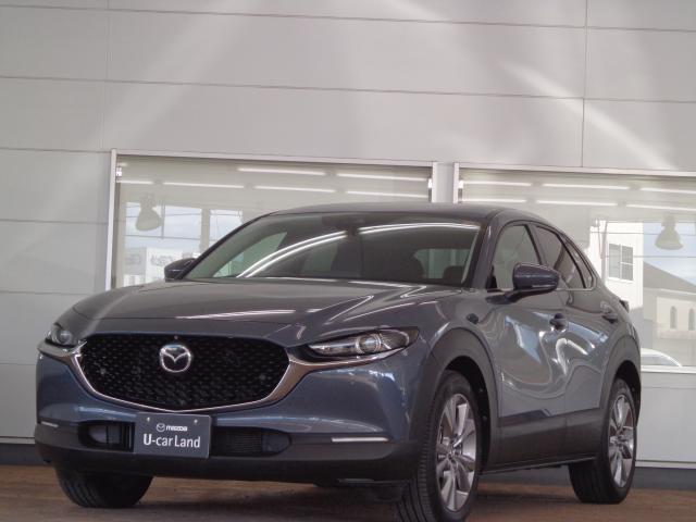 ޥĥ ãءݣ ӡ̥ѥåﳲڸƥࡡץƥ֥롼ȥ