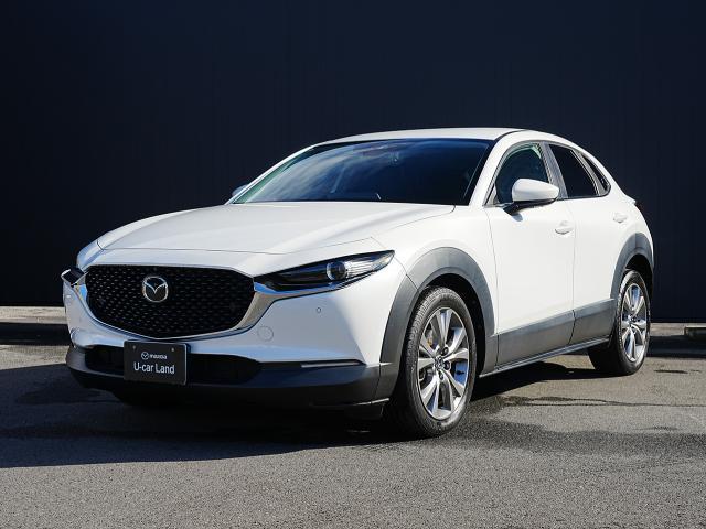 ޥĥ ãءݣ ӡﳲڸƥࡡץƥ֥롼ȥ롡ϥ