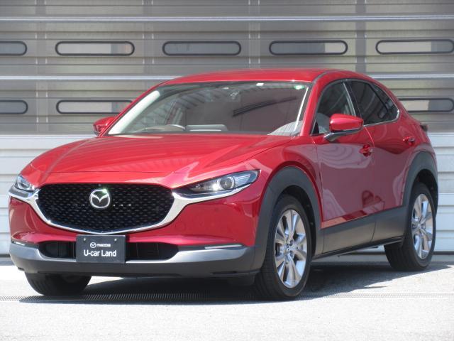 ޥĥ ãءݣ ӡ̥ѥåﳲڸƥࡡץƥ֥롼ȥ