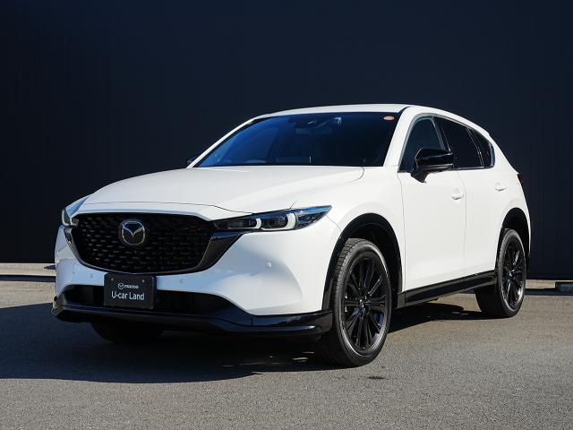 륷ǳǤ⤤̥ϤΥޥѡѥӣգ 1