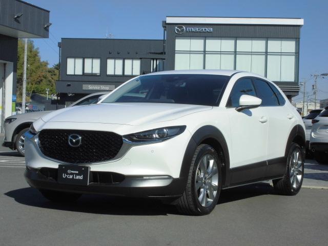 Τ֤ϤŹΤߤ˸¤餻Ƥޤ 1