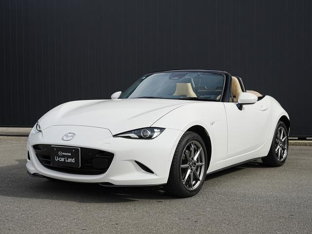 ޥĥ ɥ ӥ쥶ѥå֥쥯󡡾ﳲڸƥࡡץƥ֥롼ȥ