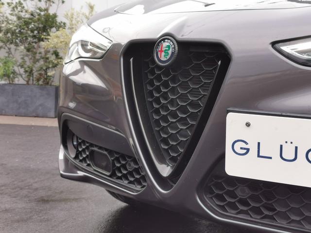 ステルヴィオ 2.2ターボ ディーゼルQ4スプリント 1オーナー 禁煙 ACC 赤革 DNAシステム ナビ フルセグ バックカメラ パドルシフト ブラインドスポットモニター レーンディパーチャーワーニング 衝突軽減 メモリー付電動シート シートヒーター(20枚目)