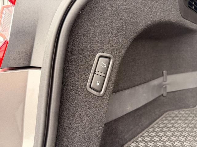 レヴァンテ S(31枚目)