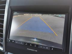 �Хå������ˤ������볦�⤷�ä���ȳ��ݤǤ��ޤ��� 4