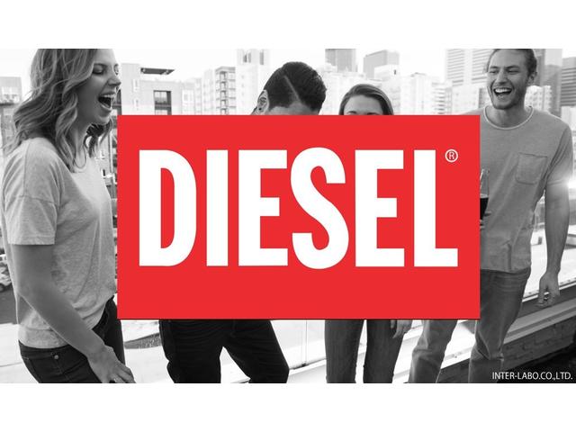 ５００ バイ　ディーゼル　イタリアのアパレルブランド「ＤＩＥＳＥＬ」ディーゼルとのコラボレーションモデル／オリジナルデザインの１６インチホイール／前後バンパーにサイドプロテクターモール、ドアハンドル、ヒーテッド電動ドアミラー（3枚目）