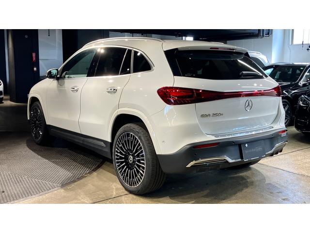 ＥＱＡ ＥＱＡ２５０＋　ＡＭＧラインパッケージ　ＭＰ２０２５０２　３６０度カメラ　パワーシート　レーダーセーフティ　地デジ　ＥＴＣ車載器　シートヒーター　エアコン　サイドカメラ　サンルーフ　クリアランスソナー　ＬＥＤヘッドライト　アルミホイール（24枚目）