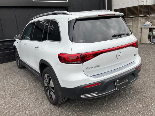 EQB EQB250 MP202301 ワンオーナー車 EQケア継承 レーダーセーフティパッケージ アダプティブクルーズコントロール バックカメラ LEDライト ワンオーナー ETC車載器 地デジ 禁煙 スマートキー(12枚目)