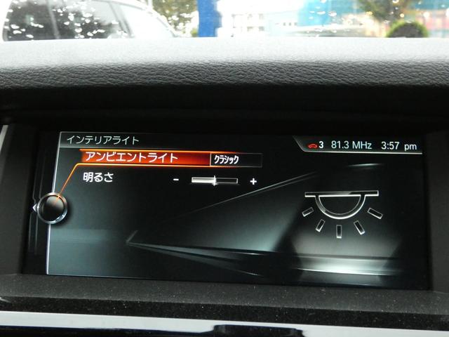 X3 セレブレーションエディションブラックアウト 限定200台 黒革 シートヒーター 専用インテリア 純正HDDナビ地デジ 全周カメラ&PDC Dアシストプラス コンフォートA バイキセノンHL 電動Rゲート 専用18インチAW 禁煙(13枚目)