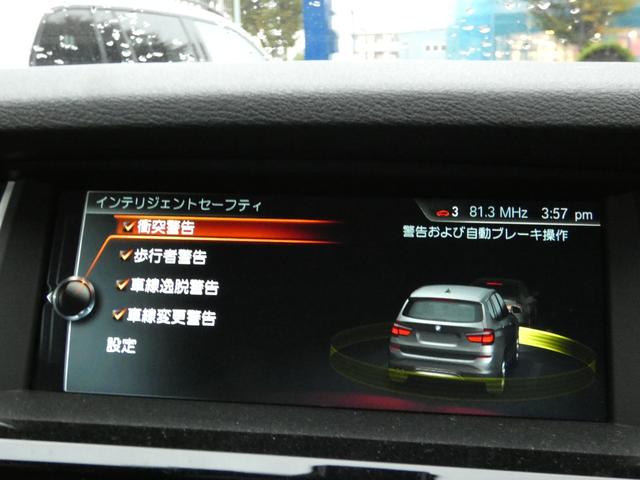 X3 セレブレーションエディションブラックアウト 限定200台 黒革 シートヒーター 専用インテリア 純正HDDナビ地デジ 全周カメラ&PDC Dアシストプラス コンフォートA バイキセノンHL 電動Rゲート 専用18インチAW 禁煙(14枚目)