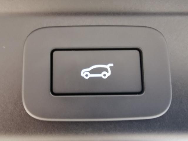 【パワーテールゲート】スイッチ操作１つでリアゲート開閉機能をご使用になれます。背の高いお車には便利で人気の装備になります。