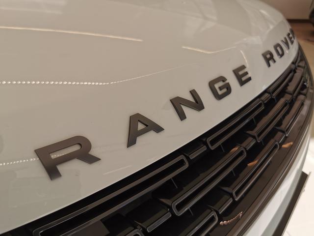 �p�l���i�V���h�[�O���C�A�b�V���j