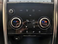 �ǥ������Х꡼���ݡ��� �ҡݥ����ʥߥå����ӡ��������Уӡ��ر�֡������� 9500093A30251122W001 5