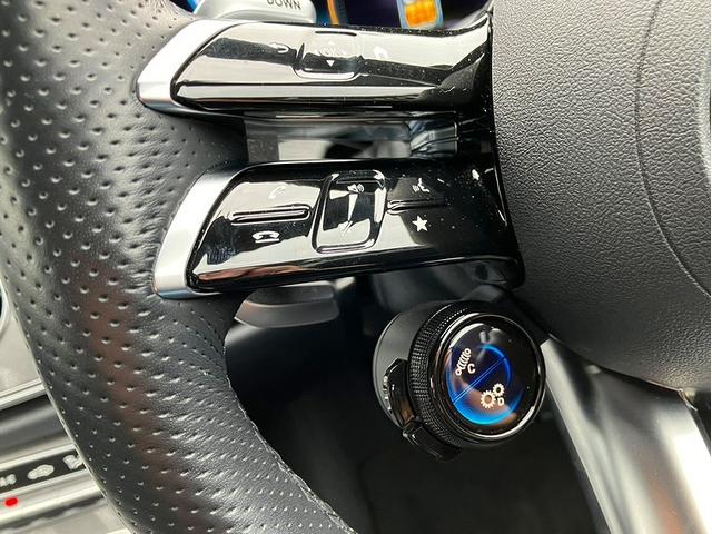 Eクラスステーションワゴン E53 4マチック+ ステーションワゴン エクスクルーシブパッケージ Bluetooth接続 ETC LEDヘッドライト TV アイドリングストップ クルーズコントロール コネクテッド機能 サイドカメラ サンルーフ・ガラスルーフ(16枚目)