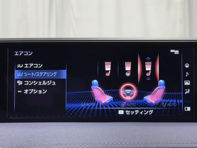 UX UX250h アーバンエレガンス 追従クルーズ 横滑り防止 1オーナー 地デジ Pシート Bカメラ ナビTV ETC車載器 DVD ムーンルーフ ミュージックプレイヤー接続可 スマートキー メモリーナビ LEDヘットライト(12枚目)