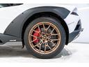 Red CCB brakes calipers