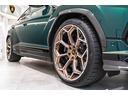 アドペルソナムアルファの特別生産枠の車両にしか追加できない、リバリー(ブロンズの塗装ライン)が反映されております。