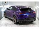 Rear spoiler in carbon fiber - Shiny