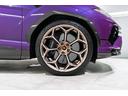 Wheel arches in carbon fiber - Shiny