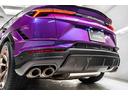 Rear spoiler in carbon fiber - Shiny
