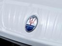 エクステリアにはもう一つエンブレムが。