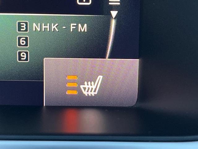 V40 D4 インスクリプション 黒革シート harman/kardon インテリセーフ 衝突被害軽減ブレーキ シートヒーター 純正ナビ バックカメラ レーダークルーズ ブラインドスポットモニター 禁煙車 LEDヘッドライト(34枚目)