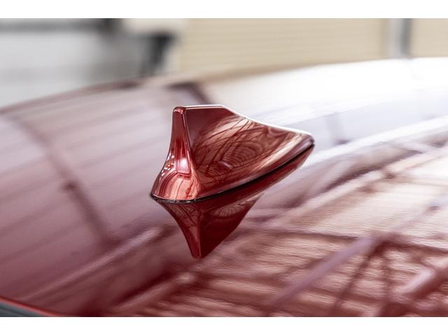 XF 2.0プレミアムラグジュアリー(45枚目)