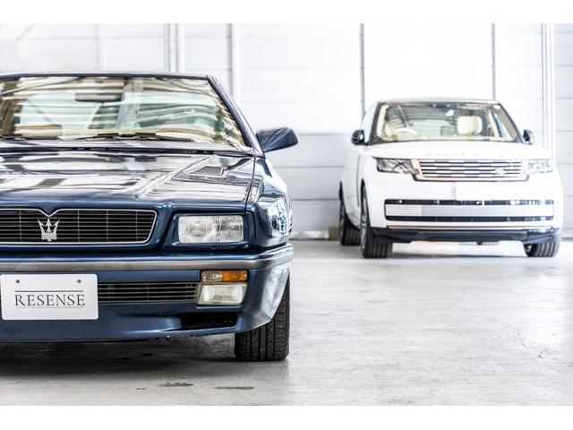 ギブリ （17枚目）