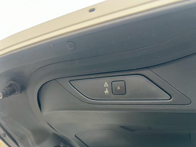 Ｃ４ ピカソ シャイン　ブルーＨＤｉ　ナビＴＶＢカメラガラスルーフドラレコレーダー後席モニターＣＡＲＰＬＡＹ（49枚目）