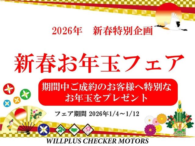 �V�t���N�ʃt�F�A�J�Á@�P�^�S�`�P�^�P�Q