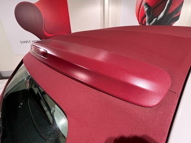 500C 1.2 ポップ キャンバストップ(40枚目)