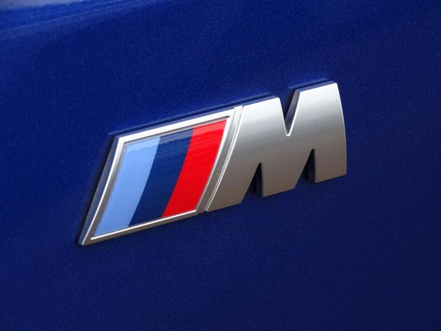 1シリーズ M135 xDrive 正規認定中古車 元試乗車 禁煙車 テクノロジーPKG HarmanKardon 電動シート シートヒーター 全周囲カメラ Bluetooth ACC 電動リヤゲート 衝突軽減B クリアランスソナー(22枚目)