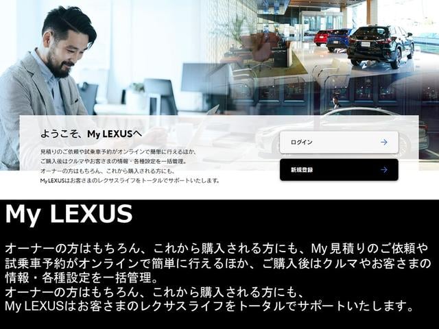 ＵＸ ＵＸ３００ｅ　バージョンＬ　黒革シート　レーダークルーズ　ＬＥＤヘッドライト　ＥＴＣ　スマートキー　パワーシート　アルミホイール　バックカメラ　ナビＴＶ　記録簿　地デジ　ＥＳＣ（30枚目）