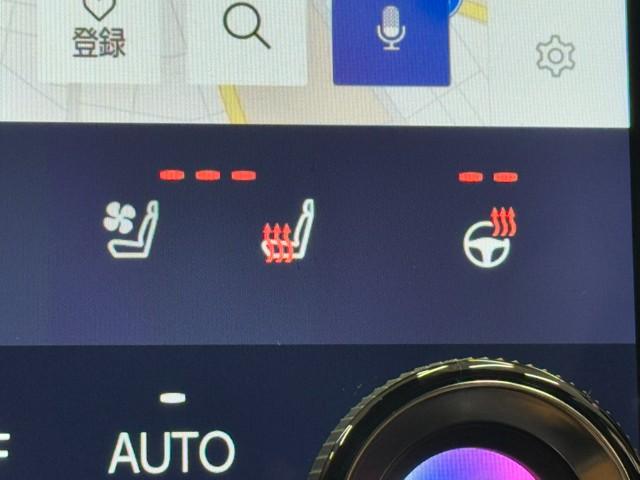 NX NX350h バージョンL 1オナ パノラマムーンルーフ 革シート バックカメラ DVD再生 ナビTV パワステ LEDヘッドライト ミュージックプレイヤー接続可 エアコン アルミホイール 助手席エアバック メモリーナビ ETC(13枚目)