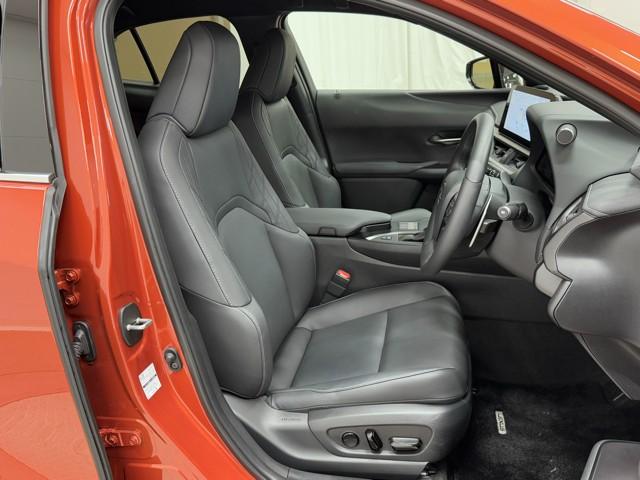 UX UX250h バージョンC バックモニター 地デジ 盗難防止システム LED キーレス ETC AUX スマートキー ナビ&TV 電動シート ESC アルミホイール メモリーナビ ABS 記録簿 エアバッグ サイドエアバッグ(17枚目)