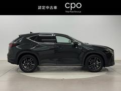 �Σ� �Σأ������衡�С������̡��ץ����ȡ��Хå�����顡�ʥӣԣ� 9503538A20251226Y001 3