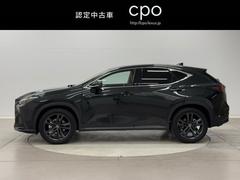 �Σ� �Σأ������衡�С������̡��ץ����ȡ��Хå�����顡�ʥӣԣ� 9503538A20251226Y001 5