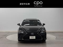 �ţ� �ţӣ������衡�ƥ��ݡ��ġ��Хå������ɥ�˥�������Ͽ���ա������ȥ������� 9503538A20260124Y002 2